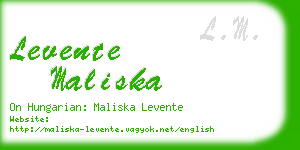 levente maliska business card